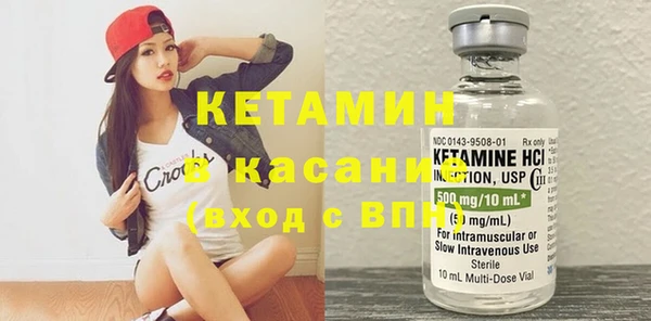 шишки Богородицк