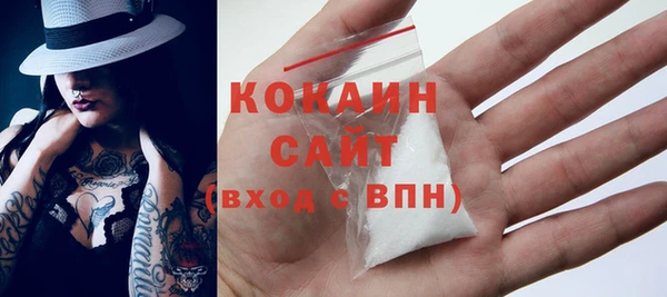 шишки Богородицк