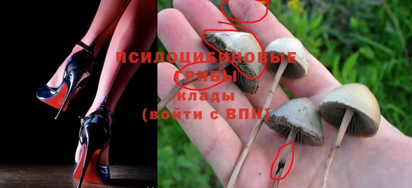 дурь Беломорск