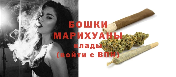 гидропоника Белоозёрский