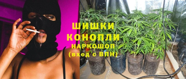 твердый Богородск