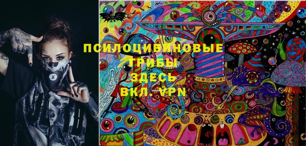 шишки Богородицк