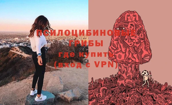 гидропоника Белоозёрский