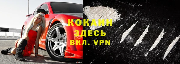 твердый Богородск